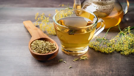 Fennel And Fennel seeds
